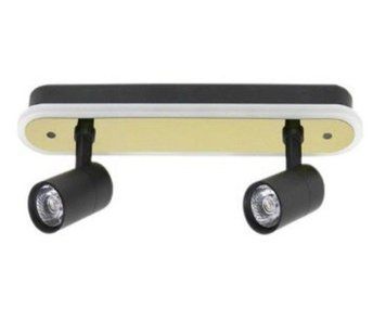 Люстра Sirius PRD-C 0371-2 42W в стилі лофт з поворотним механізмом на 2 лампочки SP000030922 фото