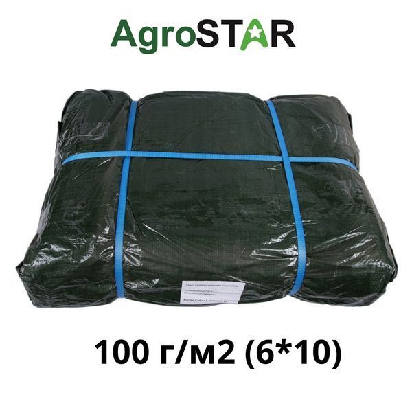Тент універсальний "AgroStar" 100 (6*10)зел А0051615 фото
